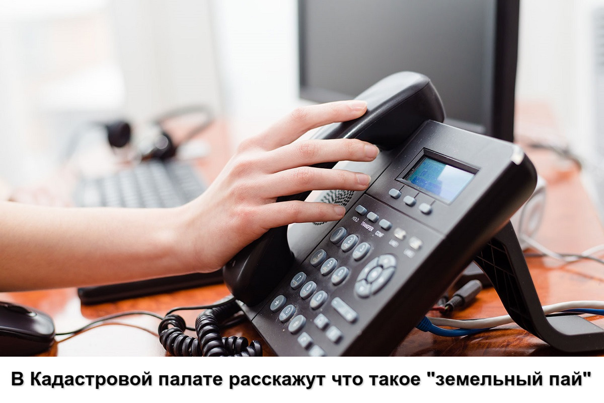 В Кадастровой палате расскажут что такое «земельный пай» В Кадастровой палате расскажут что такое «земельный пай»